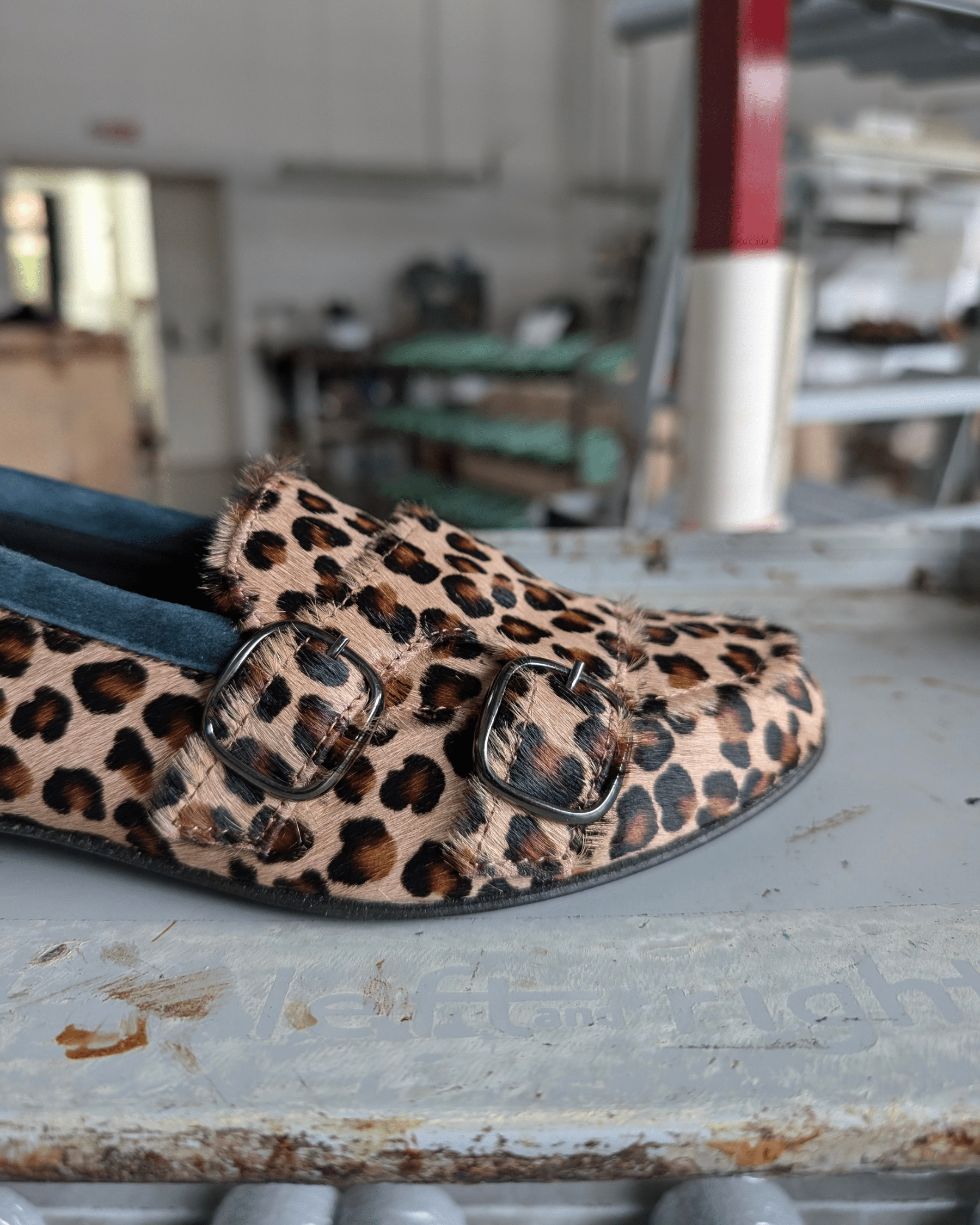 DORIS animalier (5)